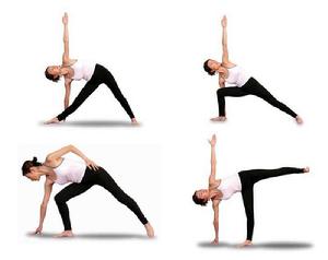 基礎教學瑜伽 基礎教學瑜伽