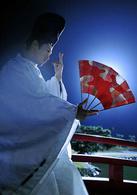 源氏物語[鶴橋康夫導演電影]