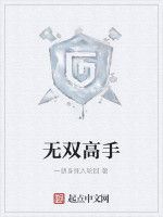 無雙高手