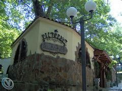 佩特里奇 佩特里奇