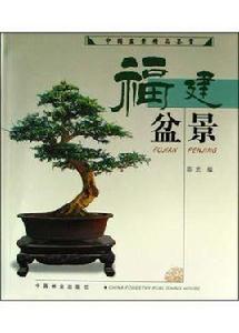福建盆景 福建盆景