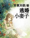 逃婚小妻子 逃婚小妻子