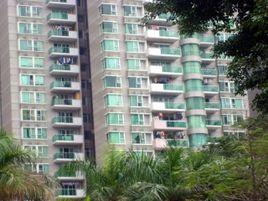 橄欖鵬苑 橄欖鵬苑