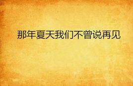 那年夏天我們不曾說再見 那年夏天我們不曾說再見