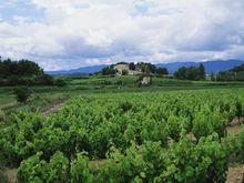 文峰鄉[四川通江縣文峰鄉]