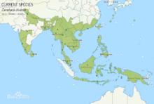 全異盲切葉蟻的分布圖（來源：AntMaps）