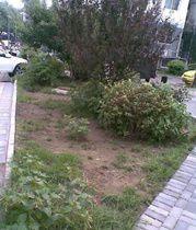 宣武區茶兒胡同 宣武區茶兒胡同