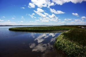 灣腰墩自然保護區 灣腰墩自然保護區