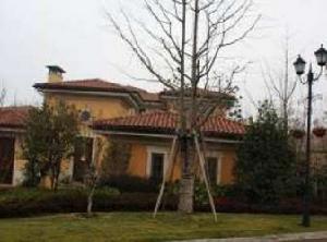 中北蔚藍星座 中北蔚藍星座