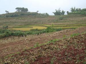 石屏寨自然村耕地