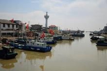 上海蘆潮港 上海蘆潮港