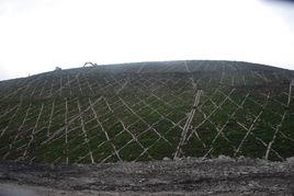 邊坡疏水 邊坡疏水