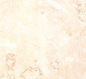 貝沙金-2 | Golden Shell |