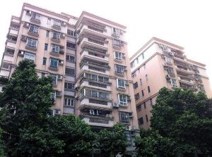 東暉花園 東暉花園