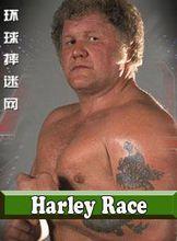 哈雷&middot;瑞斯