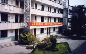 上海市閔行區魯匯中學 上海市閔行區魯匯中學