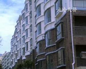 雲嶺天驕 雲嶺天驕