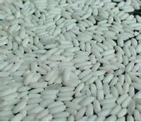 朱湖糯米 朱湖糯米