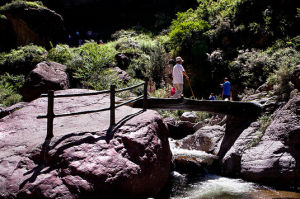 蔚縣金河口森林公園 蔚縣金河口森林公園
