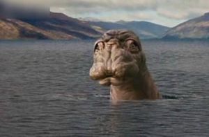 水怪之迷 水怪之迷