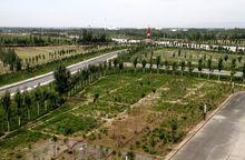 寧夏葡萄酒與防沙治沙職業技術學院