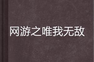 網遊之唯我無敵 網遊之唯我無敵