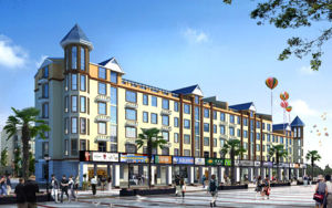 土地開發費 土地開發費