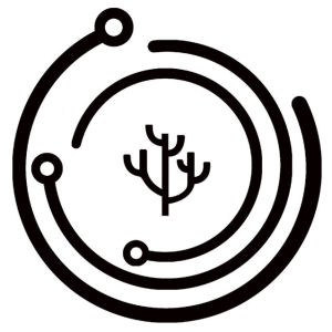 量子學派 量子學派