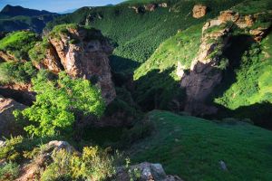 （圖）空中草園