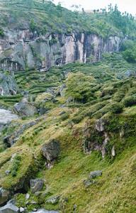 勝泉峽谷 勝泉峽谷