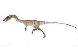 真腔骨龍 真腔骨龍