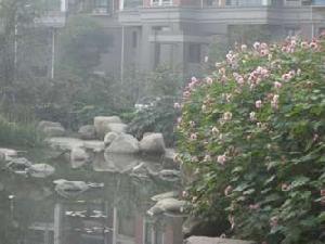 東瓜圃橋 東瓜圃橋