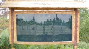 南北藥泉 南北藥泉