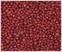 天津紅小豆