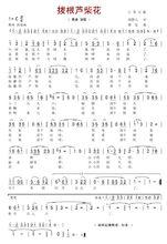 《拔根蘆柴花》簡譜。