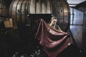 托斯卡納植鞣革廠的匠人在處理皮革
