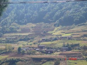 阿新宅自然村 阿新宅自然村