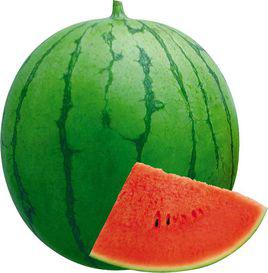 朝霞[豫審西瓜2014008]