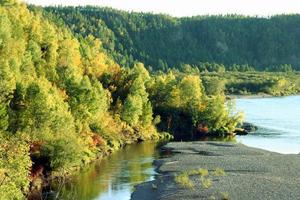 呼瑪河國家級自然保護區 呼瑪河國家級自然保護區