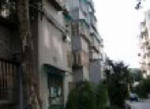 東井一村 東井一村