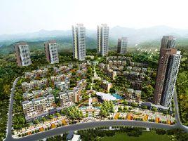 萬山國際 萬山國際