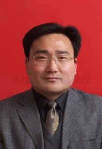 陳立新[武漢大學教授]