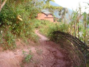 大的自然村 大的自然村