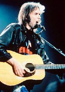 尼爾·楊 尼爾·楊