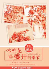 木棉花盛開的季節 木棉花盛開的季節