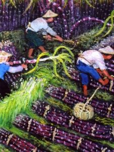 甘蔗製糖 甘蔗製糖