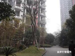 協能楓馨麗園 協能楓馨麗園