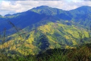 塔瓦斯科 塔瓦斯科