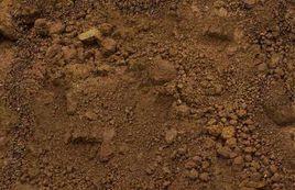 鹼性土壤 鹼性土壤