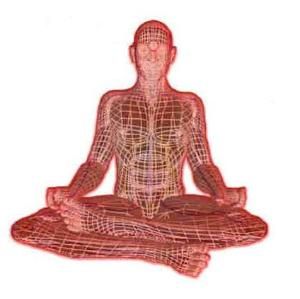 腎氣歸元 腎氣歸元